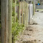 Business 7 image THE POST HOLE DIGGERS Real Estate & Home Improvement in Richmond Hill ON