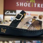 Business 12 image THE SHOE TREE Shopping in Moncton NB