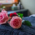 Business 19 image THERAPEUTIC BODY CONCEPTS Massage Therapists in Edmonton AB