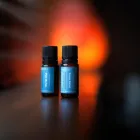 Business 27 image THERAPEUTIC BODY CONCEPTS Massage Therapists in Edmonton AB