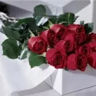 Entreprises 4 image TIDY'S FLOWERS Shopping dans Etobicoke ON