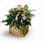 Entreprises 8 image TIDY'S FLOWERS Shopping dans Etobicoke ON