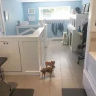 Business 4 image TIDY TAILS DOG GROOMING Pet Grooming Services in Victoria BC