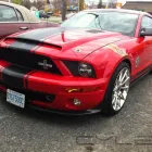 Business 16 image TINT FX MOTORSPORTS Window Tinting in Ottawa ON