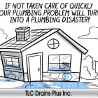 Business 1 image TLC DRAINS PLUS Real Estate & Home Improvement in Burlington ON