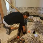 Business 2 image TLC DRAINS PLUS Real Estate & Home Improvement in Burlington ON