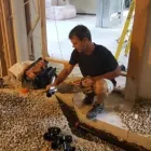 Business 11 image TLC DRAINS PLUS Real Estate & Home Improvement in Burlington ON