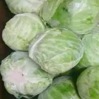 Entreprises 5 image TOMAVO FRUITS Supermarkets dans Moncton NB