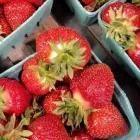 Entreprises 7 image TOMAVO FRUITS Supermarkets dans Moncton NB