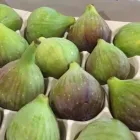 Entreprises 11 image TOMAVO FRUITS Supermarkets dans Moncton NB