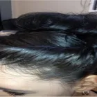 Entreprises 4 image TOP NOTCH HAIR DESIGNS BY JUDY Hair Salons dans Brandon MB