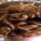 Entreprises 5 image TOP NOTCH HAIR DESIGNS BY JUDY Hair Salons dans Brandon MB