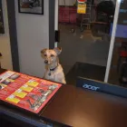 Business 8 image TOPS AUTO REPAIR Automotive in Kelowna BC