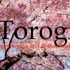 Business 1 image TOROGI FOOT MASSAGE & REFLEXOLOGY Nail Salons & Technicians in London ON