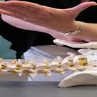 Entreprises 3 image TORONTO ACUPUNCTURE CLINIC Health & Medicine dans North York ON