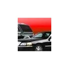 Business 7 image TORONTO AIRPORT LIMO & EXECUTIVE CHAUFFEURED CAR HIRE SERVICE travel & tourism in Toronto ON