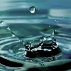 Entreprises 2 image TORONTO PSYCHOTHERAPY GROUP Psychologists dans Toronto ON