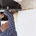 Entreprises 1 image TORONTO ROOF REPAIRS Roofing Contractors dans Mississauga ON