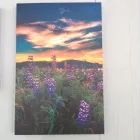 Business 19 image TOTAL IMPACT SIGNS Signs, Banners & Display Systems in Lethbridge AB