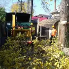 Business 1 image TOTAL TREE CARE Tree Work & Forestry Services in Hamilton ON