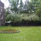 Business 3 image TOTAL TREE CARE Tree Work & Forestry Services in Hamilton ON
