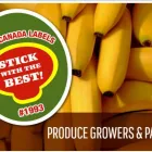 Business 4 image TRANS CANADA LABELS Shopping in Delta BC