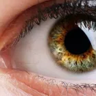 Entreprises 8 image TRANS CANADA VISION CARE Ophthalmologists, Optometrists & Opticians dans Calgary AB