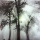 Business 7 image TRANSITIONS COUNSELLING & PSYCHOTHERAPY Legal & Financial Services in Nanaimo BC