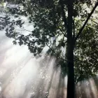 Business 8 image TRANSITIONS COUNSELLING & PSYCHOTHERAPY Legal & Financial Services in Nanaimo BC