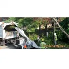 Entreprises 2 image TREE PEOPLE Tree Work & Forestry Services dans Coquitlam BC