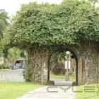 Business 1 image TREE SERVICE NANAIMO Tree Work & Forestry Services in Nanaimo BC