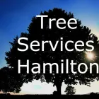 Business 2 image TREE SERVICES HAMILTON Trees & Shrubs in Hamilton ON