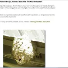 Entreprises 11 image TRI-CITIES PEST DETECTIVE Pest & Vermin Control dans Port Moody BC