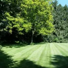 Business 2 image TRILLIUM PROPERTY SERVICES Real Estate & Home Improvement in Aurora ON
