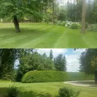 Business 6 image TRILLIUM PROPERTY SERVICES Real Estate & Home Improvement in Aurora ON