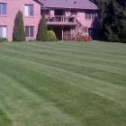 Business 1 image TRILLIUM PROPERTY SERVICES Real Estate & Home Improvement in Aurora ON