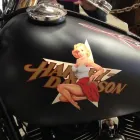 Entreprises 1 image TRIM-LINE OF CENTRAL ALBERTA LTD Signs, Banners & Display Systems dans Red Deer AB