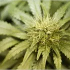 Business 4 image TROY ANDERSON LAW Legal & Financial Services in Vancouver BC