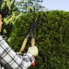 Entreprises 2 image TRULY NOLEN PEST CONTROL Pest & Vermin Control dans North York ON
