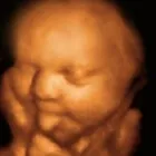 Business 2 image UC BABY Document Imaging & Management Services in Brampton ON