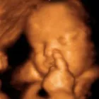 Business 5 image UC BABY Document Imaging & Management Services in Brampton ON