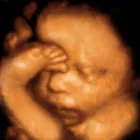 Business 6 image UC BABY Document Imaging & Management Services in Brampton ON