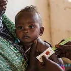 Entreprises 4 image UNHCR CANADA Refugee Camps & Services dans Toronto ON