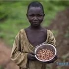 Entreprises 5 image UNHCR CANADA Refugee Camps & Services dans Toronto ON