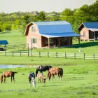 Entreprises 2 image UNITED POULTRY CO LTD Livestock & Animal Production dans Vancouver BC