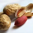 Entreprises 5 image VANCOUVER ALLERGY Homeopaths dans North Vancouver BC