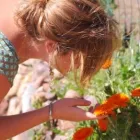 Entreprises 8 image VANCOUVER ALLERGY Homeopaths dans North Vancouver BC