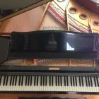 Business 7 image VANCOUVER PIANO TUNER Musical Instruments-Repair in North Vancouver BC