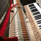 Business 9 image VANCOUVER PIANO TUNER Musical Instruments-Repair in North Vancouver BC