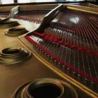 Business 1 image VANCOUVER PIANO TUNER Musical Instruments-Repair in North Vancouver BC